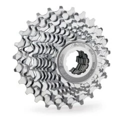 Pacco Pignoni Miche Primato 10V 13/28