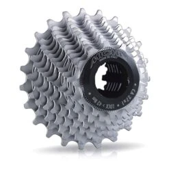 Pacco Pignoni Miche Primato 11V 12/25